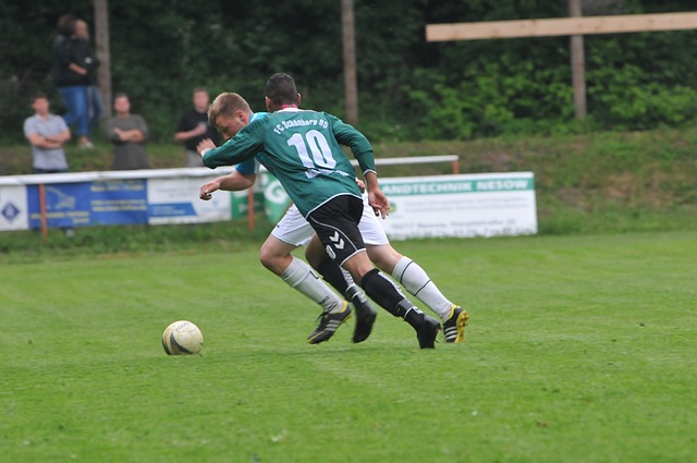 頓維拉正加 頓維拉正加